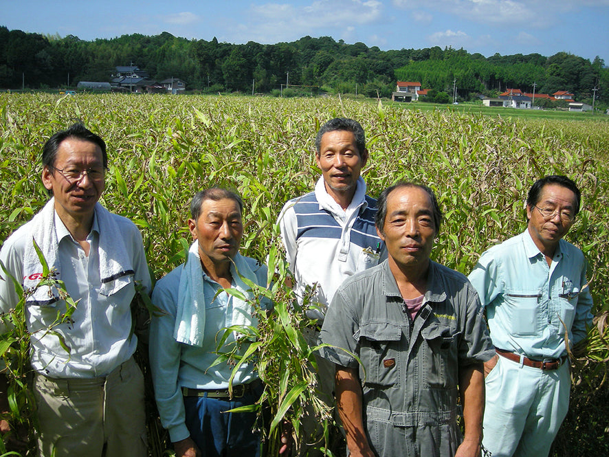 島根産 はとむぎ茶 10g×16袋 – 株式会社茶三代一