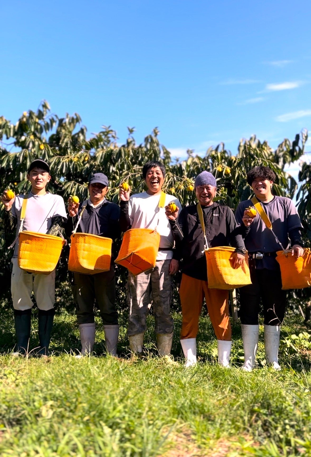 島根県産柿のお茶 2g×5袋 – 株式会社茶三代一