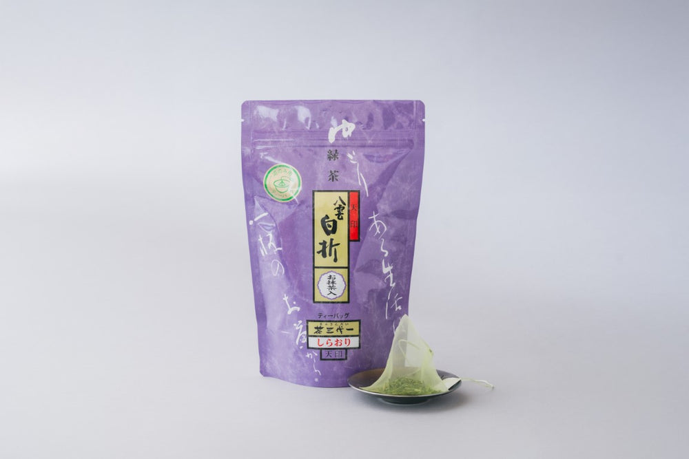 【新茶】八雲白折（天印）ティーバッグ（湯のみ用）3g×18袋 　※予約販売　　●６月中旬出荷予定