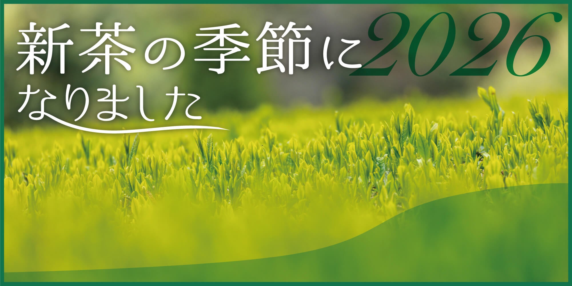 新茶ご予約を承ります